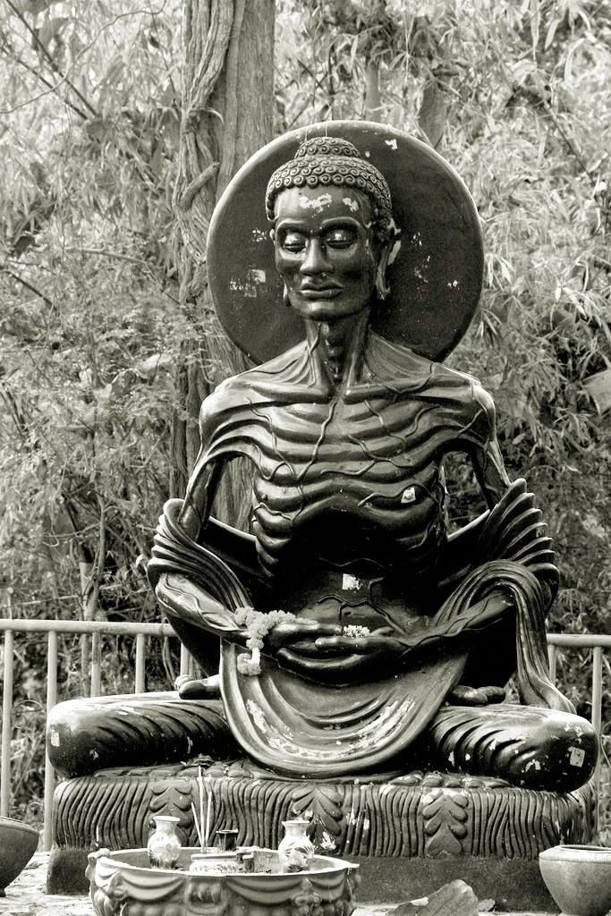 10.Degree One - Tenth course : Asceticism