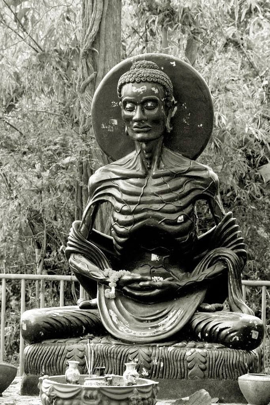 10.Degree One - Tenth course : Asceticism